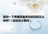 请问一下泰国黑桑果染发到底怎么样啊?（能说说大概吗）