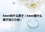 kaws叫什么牌子（kaws是什么牌子简介介绍）