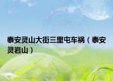 泰安灵山大街三里屯车祸（泰安灵岩山）