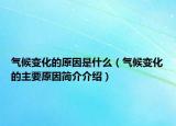 气候变化的原因是什么（气候变化的主要原因简介介绍）