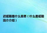 迟缓期是什么意思（什么是缓期简介介绍）