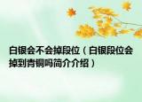 白银会不会掉段位（白银段位会掉到青铜吗简介介绍）