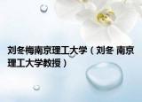 刘冬梅南京理工大学（刘冬 南京理工大学教授）