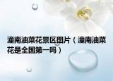 潼南油菜花景区图片（潼南油菜花是全国第一吗）