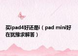 买ipad4好还是i（pad mini好 在犹豫求解答）