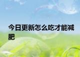 今日更新怎么吃才能减肥
