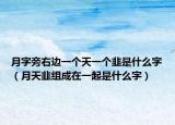 月字旁右边一个天一个韭是什么字（月天韭组成在一起是什么字）