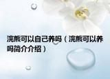 浣熊可以自己养吗（浣熊可以养吗简介介绍）