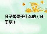 分子泵是干什么的（分子泵）