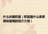 什么叫做欧盟（欧盟是什么意思通俗易懂的简介介绍）