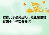 康熙儿子是雍正吗（雍正是康熙的哪个儿子简介介绍）
