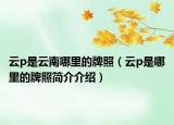 云p是云南哪里的牌照（云p是哪里的牌照简介介绍）