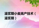 灌浆期小麦高产技术（灌浆期）