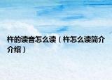 杵的读音怎么读（杵怎么读简介介绍）