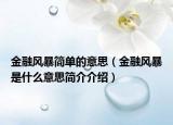 金融风暴简单的意思（金融风暴是什么意思简介介绍）