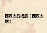 西汉太尉杨震（西汉太尉）
