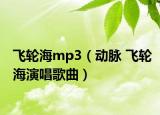 飞轮海mp3（动脉 飞轮海演唱歌曲）
