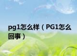 pg1怎么样（PG1怎么回事）