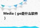 Media（go是什么软件）