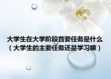大学生在大学阶段首要任务是什么（大学生的主要任务还是学习嘛）