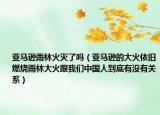 亚马逊雨林火灭了吗（亚马逊的大火依旧燃烧雨林大火跟我们中国人到底有没有关系）