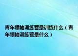青年领袖训练营是训练什么（青年领袖训练营是什么）