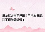 黑龙江大学王世刚（王世杰 黑龙江工程学院讲师）