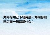 海内存知己下句诗是（海内存知己后面一句诗是什么）
