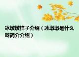 冰墩墩样子介绍（冰墩墩是什么呀简介介绍）