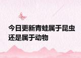 今日更新青蛙属于昆虫还是属于动物