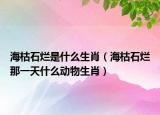 海枯石烂是什么生肖（海枯石烂那一天什么动物生肖）