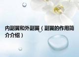 内副翼和外副翼（副翼的作用简介介绍）