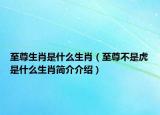 至尊生肖是什么生肖（至尊不是虎是什么生肖简介介绍）