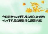 今日更新vivo手机反应慢怎么处理(vivo手机反应慢是什么原因求解)