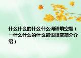 什么什么的什么什么词语填空题（一什么什么的什么词语填空简介介绍）
