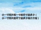 小一寸照片和一寸的尺寸是多少（小一寸照片的尺寸是多少简介介绍）