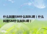 什么叫做SM什么叫BL啊（什么叫做SM什么叫BL啊）