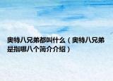 奥特八兄弟都叫什么（奥特八兄弟是指哪八个简介介绍）