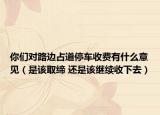 你们对路边占道停车收费有什么意见（是该取缔 还是该继续收下去）
