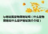 ip地址就是物理地址吗（什么是物理地址什么是IP地址简介介绍）