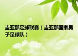 圭亚那足球联赛（圭亚那国家男子足球队）
