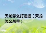 天龙怎么打逍遥（天龙怎么杀星）