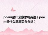poem是什么意思啊英语（poem是什么意思简介介绍）