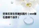 世事无常生死难料图片（ssw锤石是哪个选手）