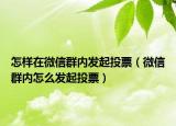 怎样在微信群内发起投票（微信群内怎么发起投票）