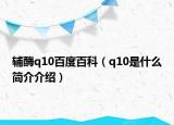 辅酶q10百度百科（q10是什么简介介绍）