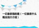 一亿像素指的是（一亿像素什么概念简介介绍）