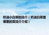 奶油小白菜的简介（奶油白菜是哪里的菜简介介绍）