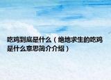 吃鸡到底是什么（绝地求生的吃鸡是什么意思简介介绍）
