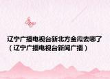 辽宁广播电视台新北方金霞去哪了（辽宁广播电视台新闻广播）